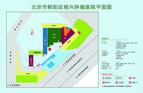 搡BB网北京市朝阳区桓兴肿瘤医院平面图